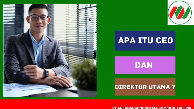 Apa Itu CEO dan Direktur Utama ?